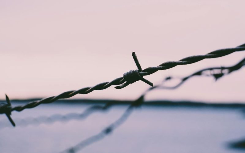 resized barbed wire pexels-ulltangfilms-300952 resized barbed wire pexels-ulltangfilms-300952